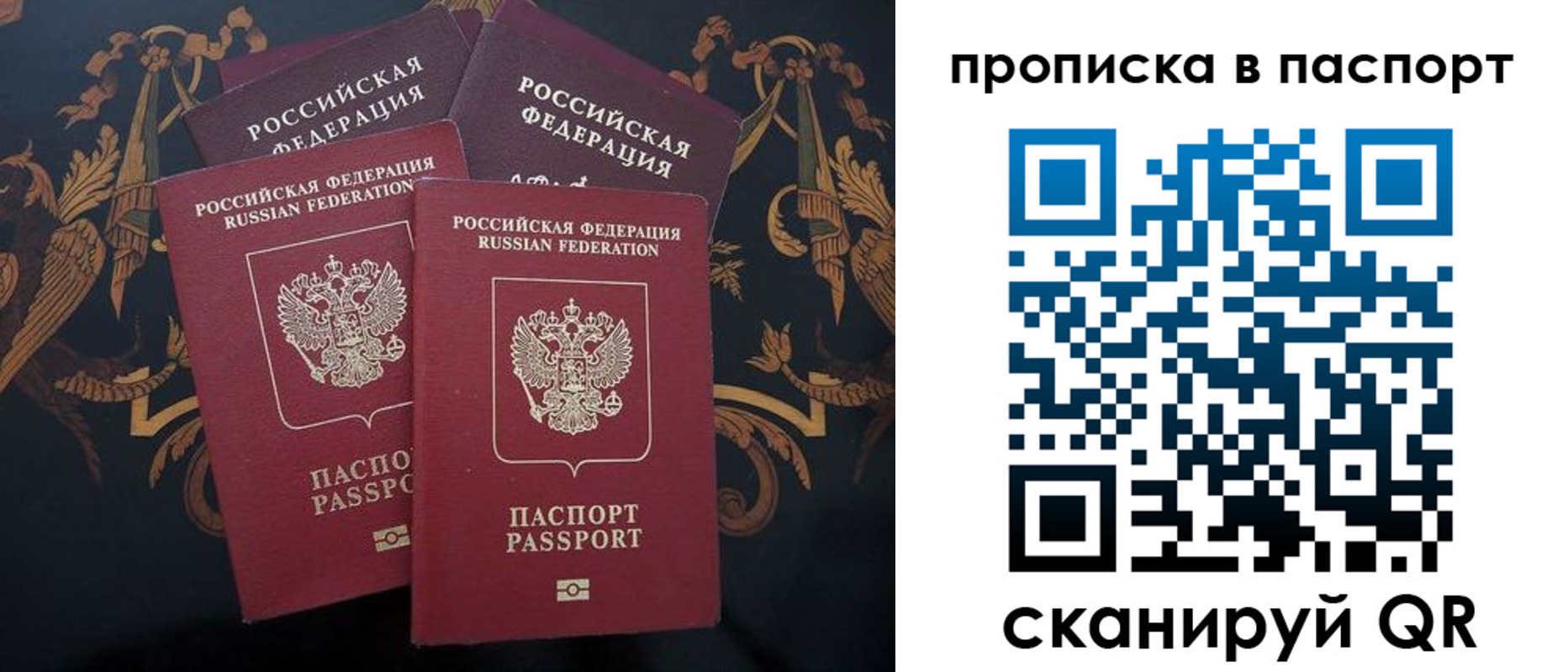 прописка паспорт в Сертолово